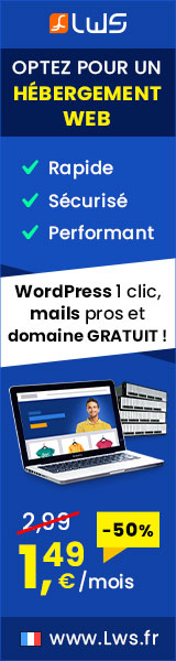 Interuption connexion lws